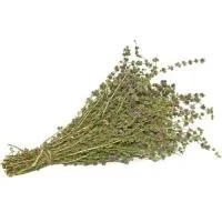 Пучок ментол "Mr.Venikoff" пучок ментол "mr.venikoff"