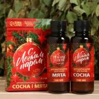 Набор ароматизаторов  "С легким паром" (сосна, мята), 100 мл Банная забава набор ароматизаторов  "с легким паром" (сосна, мята), 100 мл банная забава