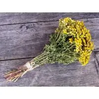 Пучок пижмы "Mr.Venikoff" пучок пижмы "mr.venikoff"