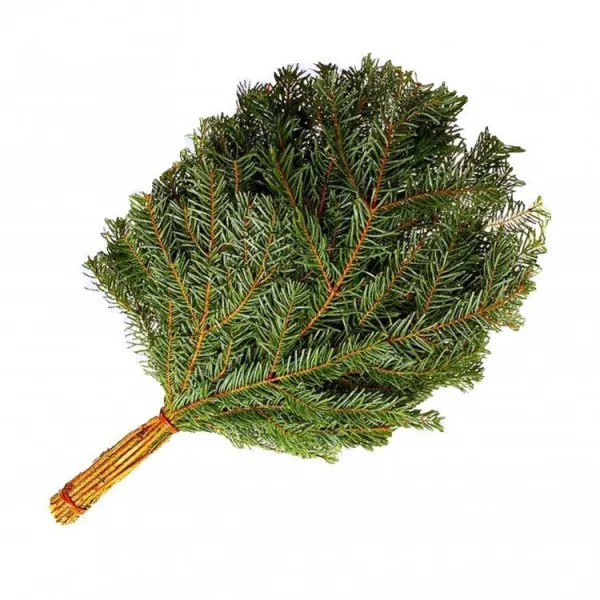 Веник пихтовый, без упаковки, Огненный камень веник пихтовый, без упаковки, огненный камень